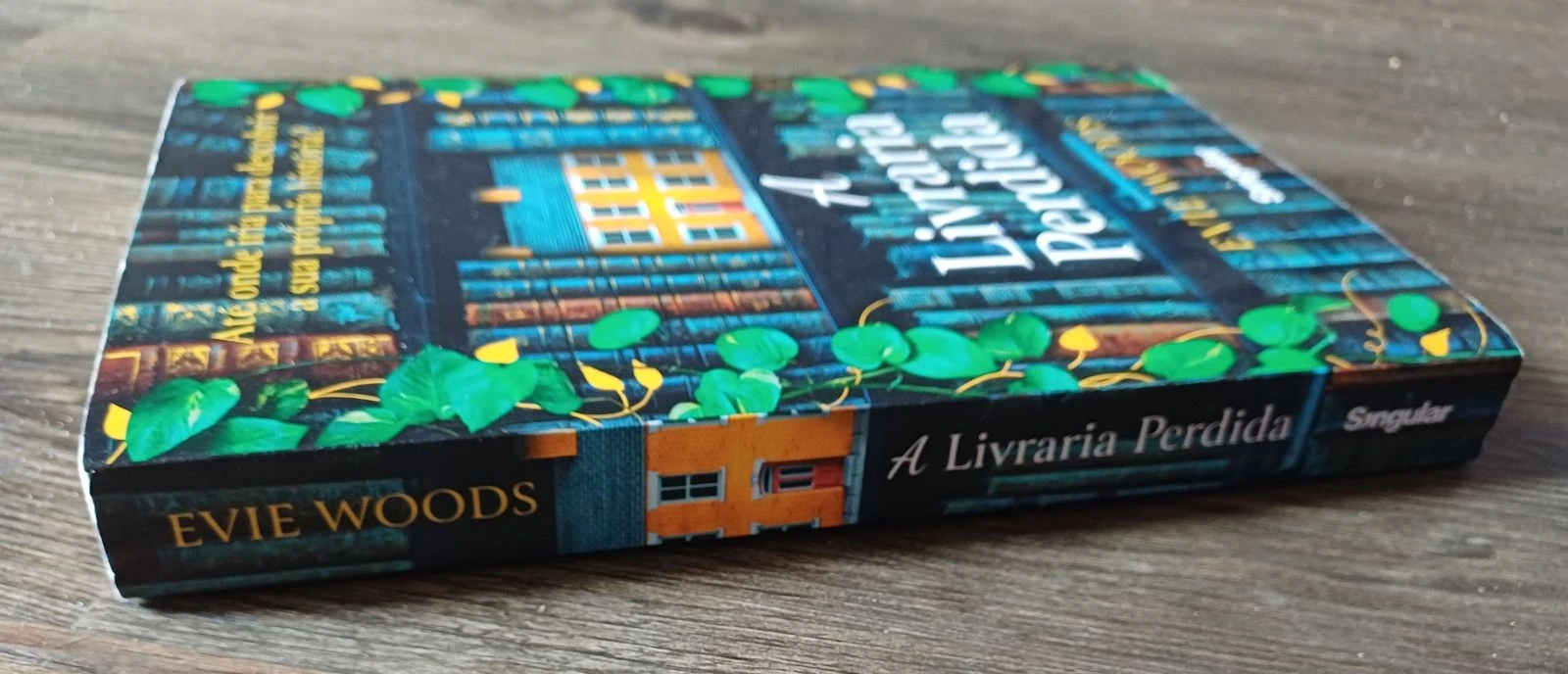 De Verloren Bibliotheek – photo 3